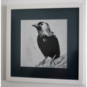 Colly Birds : Jackdaw